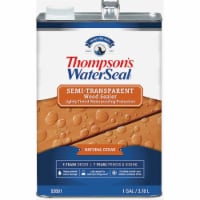 Thompsons® Waterseal® Semi-Transparent Natural Cedar Wood Sealer