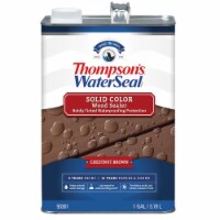 Thompsons Waterseal Solid Wood Sealer Chestnut Brown gal