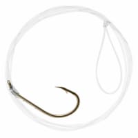 Danielson Size 6 Snelled Baitholder Hook Perspective: Main