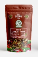 Some Like It Hot! - Salt Free & Gluten Free | Spicy Chipotle Dip Mix & Spread