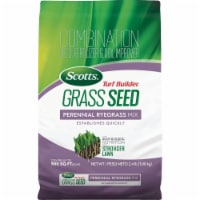 Scotts Lawn 119419 2.4 lbs Turf Builder Grass Seed Perennial Ryegrass Mix - Pack of 6