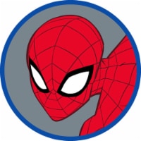 Spider-Man Soap Dish Perspective: Main