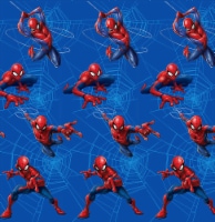 Spider-Man Shower Curtain Perspective: Main