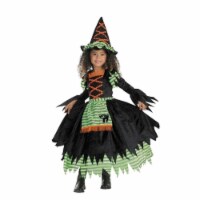 Costumes For All Occasions Dg2179M Witch Storybook Sz 3T To 4T