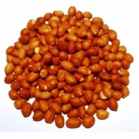 Natures Select Ingredients 064784 50 lbs Peanut Pickouts Roasted for Wild Bird Feed