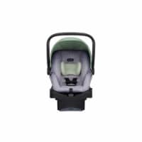 Evenflo LiteMax 35 Infant Car Seat - Bamboo Leaf Green Perspective: Main