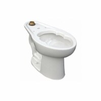 American Standard BedpanHolding ToiletBowl,Elongated,Floor 3462001.020