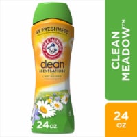 Arm & Hammer™ Clean Scentsations™ Clean Meadow Booster