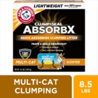 Arm & Hammer™ Clump & Seal AbsorbX Multi-Cat Litter
