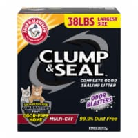 Arm & Hammer™ Clump & Seal™ Multi-Cat Ultra Odor Blasters™ Cat Litter Perspective: Main