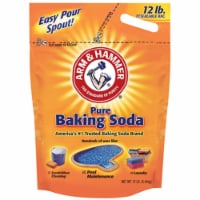 Church & Dwight 01191 12 lbs. Baking Soda