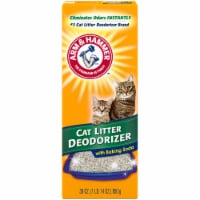 Arm & Hammer Cat Litter Deodorizer with Baking Soda Perspective: Main