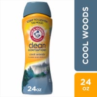 ARM & HAMMER Clean Scentsations Cool Woods In-Wash Scent Booster Perspective: Main