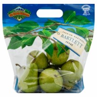 Anjou Pears Bag
