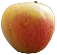 Gala Apples