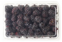 Fresh Blackberries