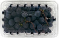 Concord Grapes