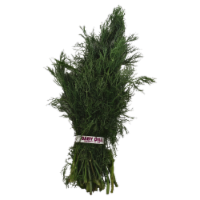 Baby Dill Bunch