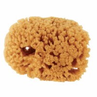 Purdy Symphony 4 In. Yellow Sea Natural Sea Sponge 503192400