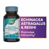 Nature's Way Echinacea Astragalus & Reishi Dietary Supplement Vegan Capsules
