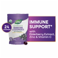 Nature's Way Sambucus Immune Black Elderberry Extract Zinc Vitamin C USDA Certified Organic Lozenges Perspective: Main
