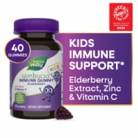 Nature’s Way Sambucus Immune for Kids Elderberry with Vitamin C and Zinc Gummies Perspective: Main