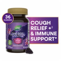 Nature's Way Sambucus Cough Relief + Immune South African Geranium Root Extract Elderberry Gummies Perspective: Main