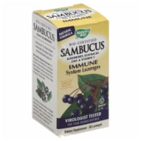 Nature's Way Sambucus Immune System Support