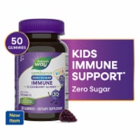 Nature’s Way Sambucus Kids Zero Sugar Immune Black Elderberry Extract Vitamin C Zinc Ages 2+ Gummies Perspective: Main