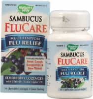 Nature's Way  Sambucus Multi-Symptom FluCare Perspective: Main
