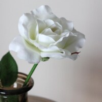Allstate 32606360 23 in. Long Stem Artificial Blooming Rose Pick Flowers, Creamy White