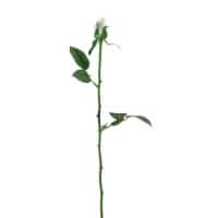 CC Home Furnishings 22.5 Artificial Long Single Stem Cream Colored Budding Rose