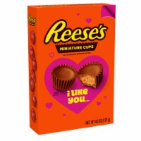 Reese's Miniature Milk Chocolate Peanut Butter Cups Gift Box Perspective: Main