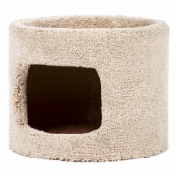 North American Pet Cat Condo Perspective: Main