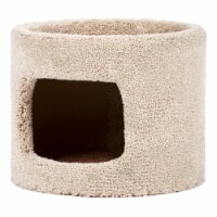 North American Pet Cat Condo Perspective: Main