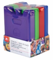 Igloo Small Ice Block Pack