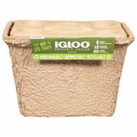 Igloo® Reusable Biodegradable Cooler Perspective: Main