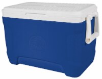 Igloo Cooler - Blue/White Perspective: Main