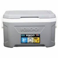 Igloo Cooler - Gray