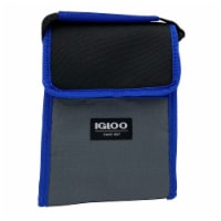 Igloo Lunch Sack - Blueberry Perspective: Main