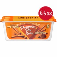 Land O Lakes® Limited Batch Pumpkin Pie Spice Butter Spread Tub