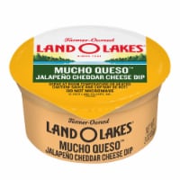 Land O Lakes® Mucho Queso™ Jalapeño Cheese Dip Cups