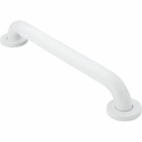 Moen Home Care 18 In. Concealed Screw Grab Bar, Glacier LR8918W