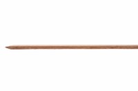 Bond Hardwood Stakes - Brown Perspective: Main