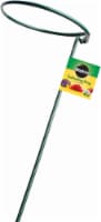 Miracle-Gro Gathering Ring - 3 Pack - Green Perspective: Main