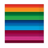 Beistle Co Cinco de Mayo Fiesta Luncheon Napkins Perspective: Main