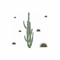 RoomMates Peel and Stick Wall Contemporary Decals Botanical 9/Pack (RMK3860GM)