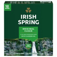 Irish Spring Bar Soap Original Scent Perspective: Main
