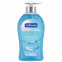 Softsoap Clean & Protect Antibacterial Liquid Hand Soap Cool Splash Hand Soap