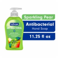 Softsoap Sparkling Pear Antibacterial Gentle Clean Liquid Hand Soap